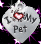 I Love my Pet