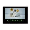 Courage