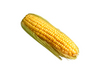 do you want a corn