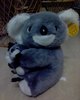 *~Koala's Huggy~*