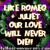 Romeo + Juliet Love