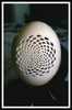 carved eggs