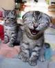 Hahaha!!! So funny!!!