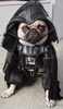 Dog Vader