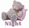 Good night bear