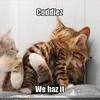 cuddles* 