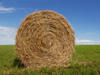 Roll in the hay