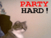 Party Hard!!