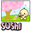 happy sushi picnic