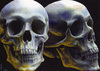 Skulls