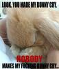 you made my bunny cry