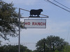 A Trip To The Ho Ranch