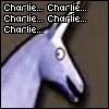charlieeee