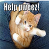 Help Pweeze