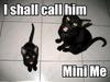 I shall call him Mini Me!!