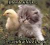 A Blonde chick with a nice pussy