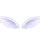 a pair of angel wings
