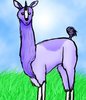 The rare and mystical Uni-llama!