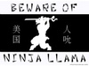 Beware! Ninja Llama!!!
