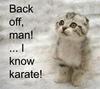 I know karate