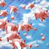 OMG Flying Pigs