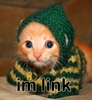a kitten in a Link costume!!