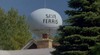 ღ Save Ferris ღ