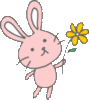 Flower bunny for u
