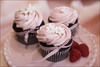 Chocolate Raspberry Cupcake