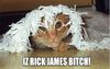 Rick James Cat