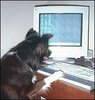 Pet Computer Lessons 