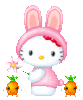 ♥ Hello Kitty ♥ Bunny