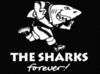 Sharks Rugby!!!