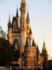 Disney Land Palace
