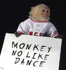 Monkey No Like Dance