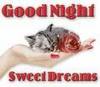 Goodnight and sweet dreams