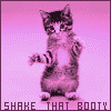 A cat to shake your booty with