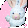 A bunny to love