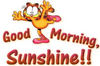 Good Morning Sunshine ! !