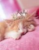 Crown a Princess