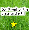 Don't walk on the grass...