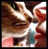 kisses between owner &amp; pet