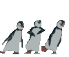 penguin dance
