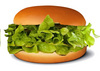 @ Lettuce Sandwich @