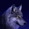 Wolf-LM 