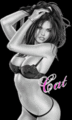 CAT Taylor